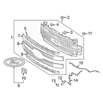 Ford OE - Grille & Components (Satin Aluminum or Chrome)