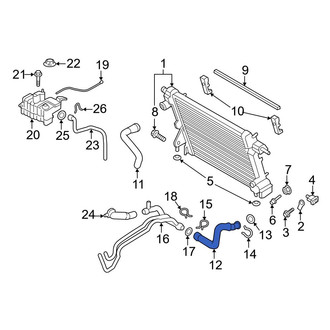 Ford OE - Lower Radiator Coolant Hose