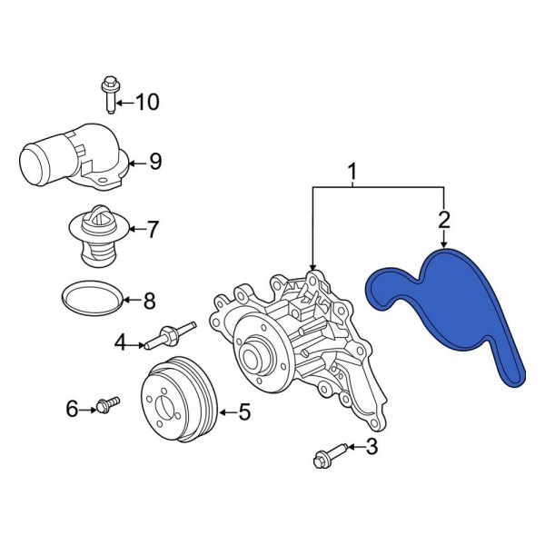 Engine Water Pump Gasket