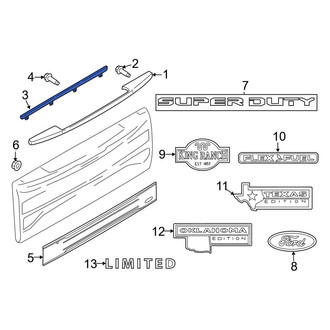 Ford OE - Rear Tailgate Trim Cover