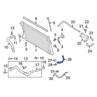 Ford OE - Upper Radiator Coolant Hose
