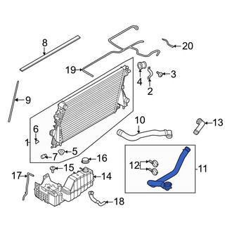 Ford OE - Lower Radiator Coolant Hose