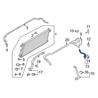 Ford OE - Lower Radiator Coolant Hose