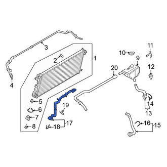 Ford OE - Lower Radiator Coolant Hose