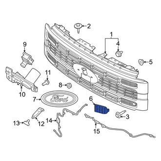 Ford OE - Front Grille Molding
