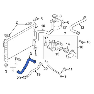 Ford OE - Lower Radiator Coolant Hose
