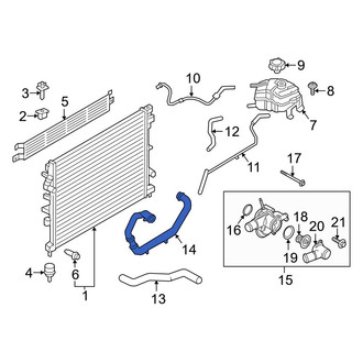 Ford OE - Lower Radiator Coolant Hose