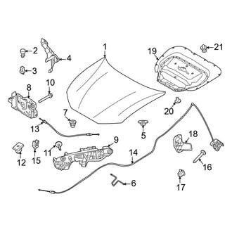 Ford OE - Hood & Components