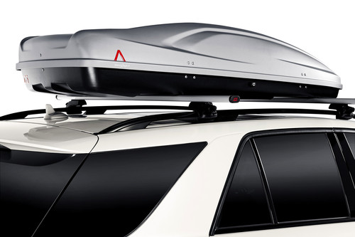 shiny gray roof cargo box