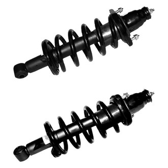 Gabriel® - Ultra ReadyMount™ Rear Strut Assemblies Set