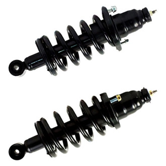Gabriel® - Ultra ReadyMount™ Rear Strut Assemblies Set