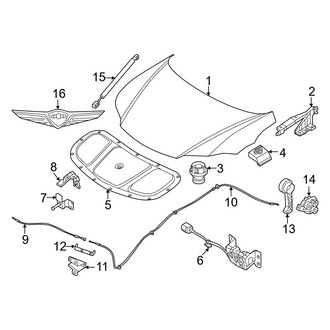 Genesis OE - Hood & Components