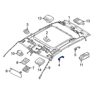Genesis OE - Front Left Interior Grab Bar