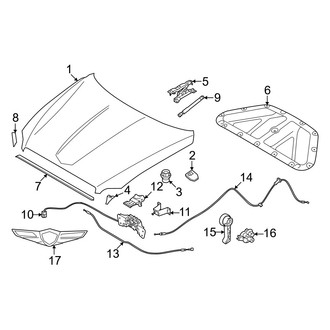 Genesis OE - Hood & Components