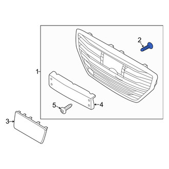 Genesis OE - Lower Grille Screw