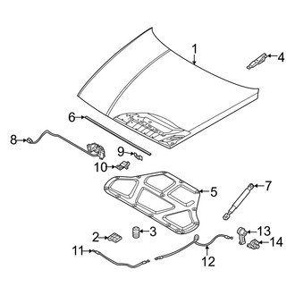 Genesis OE - Hood & Components