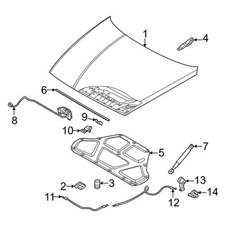 Genesis OE - Hood & Components