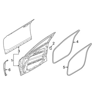 Genesis OE - Front Door - Door & Components