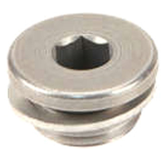 Genuine® - Cylinder Head Plug with Gasket