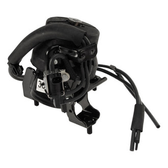 Genuine® - Front Engine Mount