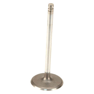 Genuine® - Intake Valve