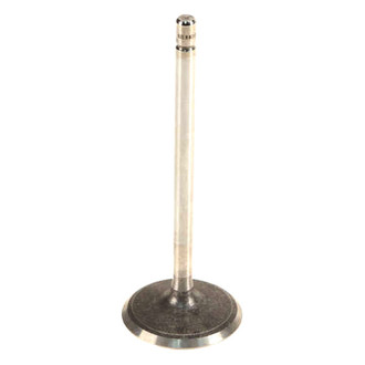 Genuine® - Intake Valve