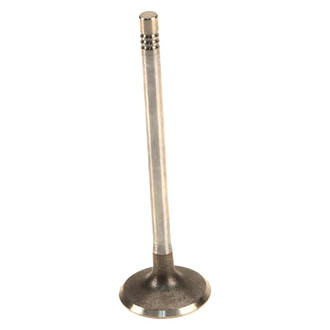 Genuine® - Exhaust Valve