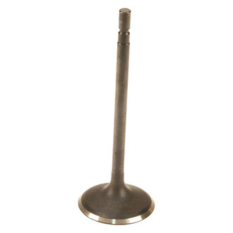 Genuine® - Intake Valve