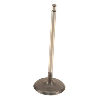 Genuine® - Intake Valve
