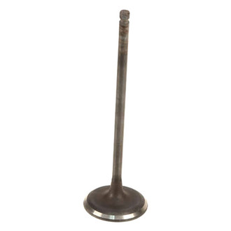 Genuine® - Intake Valve