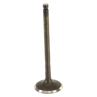 Genuine® - Intake Valve