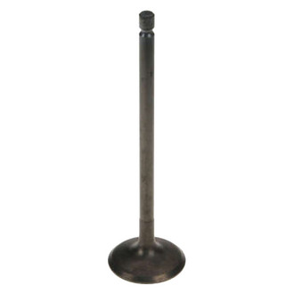 Genuine® - Intake Valve