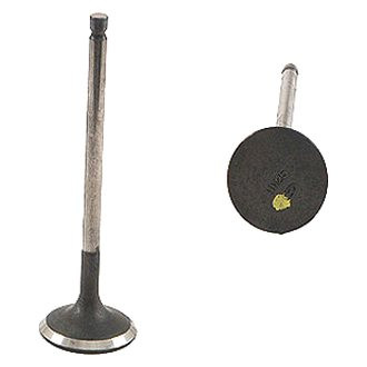 Genuine® - Intake Valve