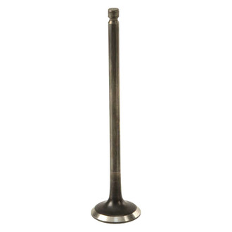 Genuine® - Exhaust Valve