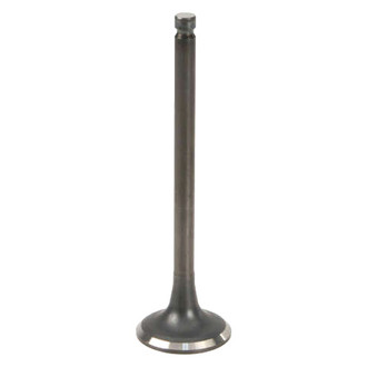 Genuine® - Exhaust Valve