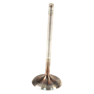 Genuine® - Intake Valve