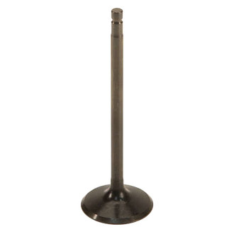 Genuine® - Intake Valve