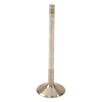 Genuine® - Intake Valve