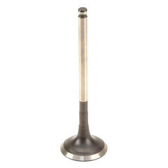 Genuine® - Exhaust Valve