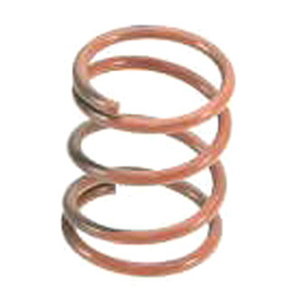 Genuine® - Rear Parking Brake Hold Down Spring