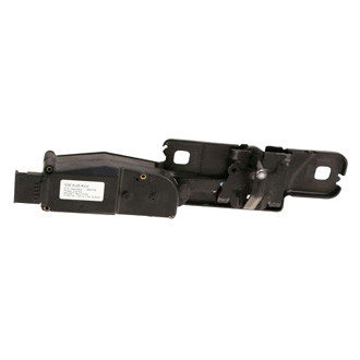 Genuine® - Tailgate Striker Plate