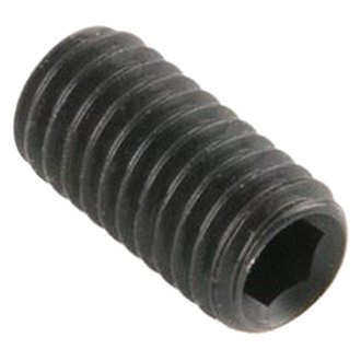 Goodson® - Replacement Tip Screw