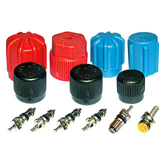 gpd® - A/C System Valve Core and Cap Kit