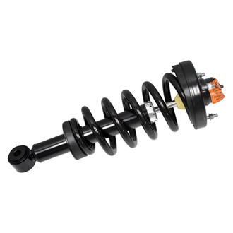 GSP North America® - Rear Driver or Passenger Side Twin-Tube Non-Adjustable Strut Assembly