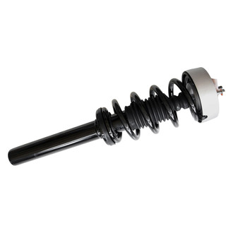 GSP North America® - Front Twin-Tube Non-Adjustable Strut Assembly