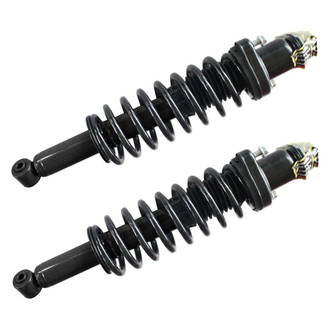 GSP North America® - Rear Strut Assebmlies Set