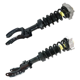 GSP North America® - Twin-Tube Non-Adjustable Strut Assembly