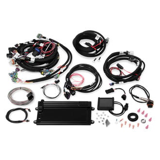 Holley® - Terminator™ LS MPFI Kit