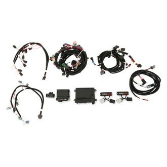 Holley® - ECU and Harness Kit
