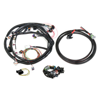 Holley® - EFI Injector Harness Kit